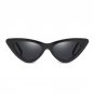 High Quality Small Cat Eye Sunglasses Women Brand Designer Retro Sunglass Female Sun Glasses For Wom