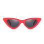 High Quality Small Cat Eye Sunglasses Women Brand Designer Retro Sunglass Female Sun Glasses For Wom