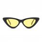 High Quality Small Cat Eye Sunglasses Women Brand Designer Retro Sunglass Female Sun Glasses For Wom