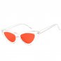 High Quality Small Cat Eye Sunglasses Women Brand Designer Retro Sunglass Female Sun Glasses For Wom