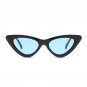 High Quality Small Cat Eye Sunglasses Women Brand Designer Retro Sunglass Female Sun Glasses For Wom