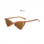 New Triangle sunglasses for Women Cateye Sunglasses Men Vintage High Quality HD Lenss for Christmas