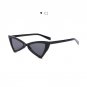 New Triangle sunglasses for Women Cateye Sunglasses Men Vintage High Quality HD Lenss for Christmas