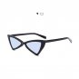 New Triangle sunglasses for Women Cateye Sunglasses Men Vintage High Quality HD Lenss for Christmas