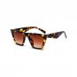 Cat Eye Personality Sunglasses Big Frame Transparent Bright Lens Sun Glasses Women Minimalist Design