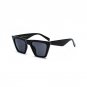 Cat Eye Personality Sunglasses Big Frame Transparent Bright Lens Sun Glasses Women Minimalist Design