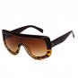 Fashion Brand Sunglasses Big Frames Glasses Eyewear Lady Designer Oversize Sun Glasses Women UV400 2