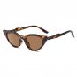 Sunglasses Woman\'s Cat Eye Sexy Ladies Fashion Designer Designers Casual Sunglasses Beautiful Ladie
