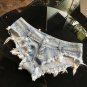 Fashion Micro Mini Short Sexy Denim Short Jeans Summer Low Waist Thong Jeans Ladies Bikini Shorts Fe