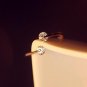 Free shipping! Wholesale rose flower crystal Hollow moon suit tail rings for women High-grade engage
