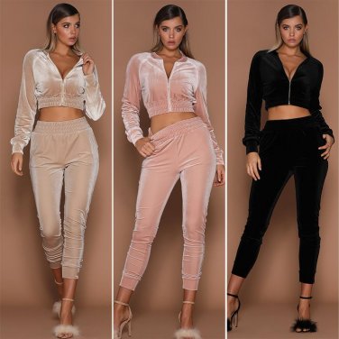 2017 new women Autumn Spring Sporting Suit Women\'s Slim Long-Sleeved Fashion Velvet Suit two piece 