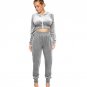 New Winter Long Sleeve Velvet Two Piece Set Autumn Women Zipper Slim Short Crop Top and Pant Casual 