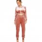 New Winter Long Sleeve Velvet Two Piece Set Autumn Women Zipper Slim Short Crop Top and Pant Casual 