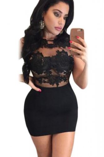 Black Lace Mesh Applique Bodycon Mini Dress