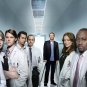 House MD - 24" x 41" Huge Expanded Cast Poster - 43
