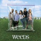 Weeds - 24" x  31"  Cast Poster  -  1