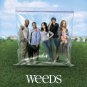 Weeds - 24" x  31"  Cast Poster  -  1