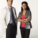 Hawthorne  - 24" x 32" -  Cast Poster - 4