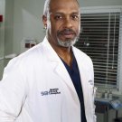 Grey's Anatomy - 24" x 34" S-3 ( Pickens ) Poster - 9