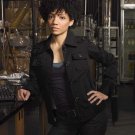 Fringe - 24" x 32" - Astrid Farnsworth   - Poster - 21