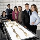 Bones  - 24" x 32" Cast Poster - 2
