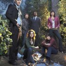 Bones  - 24" x 32" Cast Poster - 1