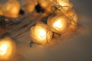 20 white Romantic handmade real leaf Rose flower leaf string light