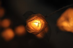20 white Romantic handmade real leaf Rose flower leaf string light