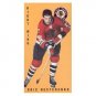 1994 Parkhurst Tall Boys (64-65 Parkies Reprints) #   33 - Eric Nesterenko