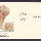 Ocean Seashells, Lightning Whelk, First Issue USA