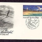 Seashore Issue, Cape Hatteras, North Carolina, Lighthouse 1989 First Issue Postal Card USA