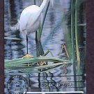 Snowy Egret, First Issue USA