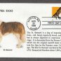 Saint Bernard Dog, Bright Eyes, First Issue USA!