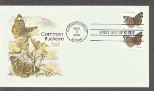 Common Buckeye Junonia coenia Butterfly, First Issue USA