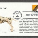 Dalmatian Dog, Bright Eyes, First Issue USA!