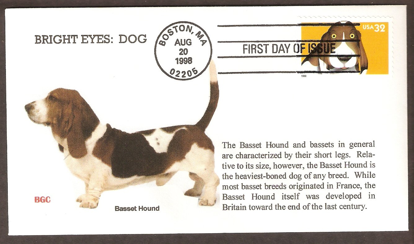 Basset Hound Dog Bright Eyes First Issue USA