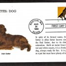 Irish Setter Dog, Bright Eyes, First Issue USA!