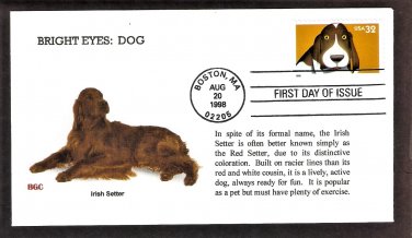 Irish Setter Dog, Bright Eyes, First Issue USA!