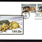 Kitten and Puppy Dog Playing Together, Andrews, First Issue USA