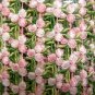GREEN & PINK FLORALTRIMMING EDGING BORDER FABRIC