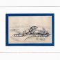 Antique Nature Engraving Ca.1838 Wm. Jardine - Banded Eel