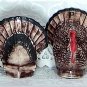 Turkeys Salt and Pepper Shakers Hand Painted