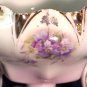 Royal Vienna Creamer and Sugar Bowl with Lid - Ca.1890