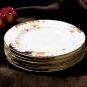British Tea Plates Set of 6 Hand Painted Circa 1896 England