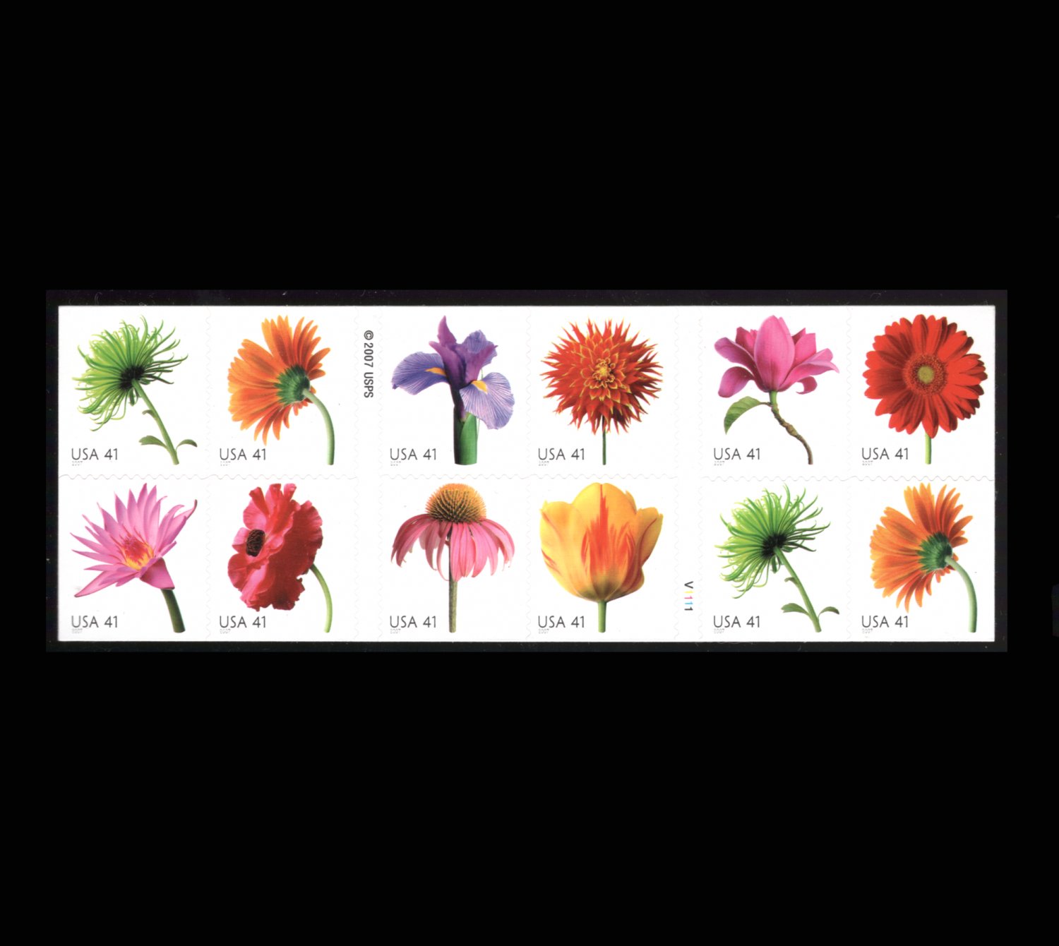Beautiful Blooms 41c U.S. Stamps, Booklet Pane/20 Ten Different - Free Shipping