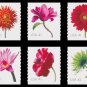 Beautiful Blooms 41c U.S. Stamps, Booklet Pane/20 Ten Different - Free Shipping