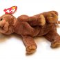 TY Pecan the Bear Beanie Baby 1999 MWMT