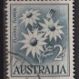 Australia 1959/64 - Scott 327 used - 2sh, Flannel Flower (6-653)