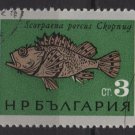 Bulgaria 1965 - scott  1405 CTO  - 3s, black sea Fish (7-224)