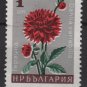 Bulgaria 1966 - Scott 1556  used -  1s, flowers, Dahlia   (7-486)